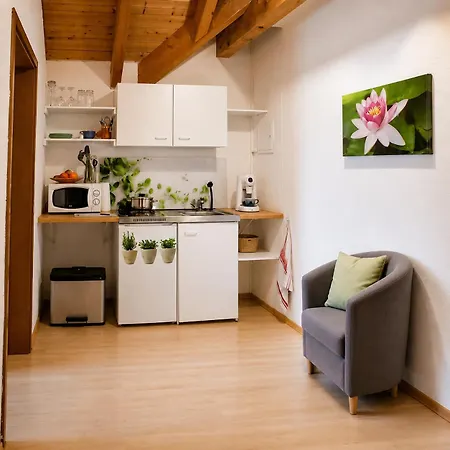 B&B Haus Rose 알렌스바하